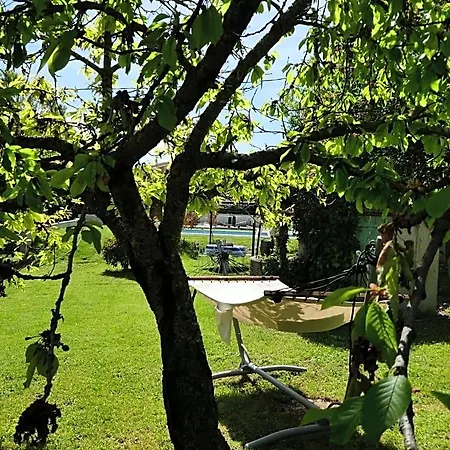 L'auguste Bed & Breakfast